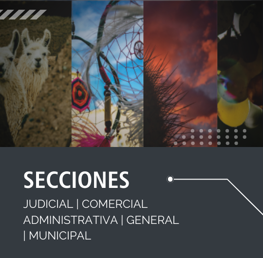 Secciones del Boletín